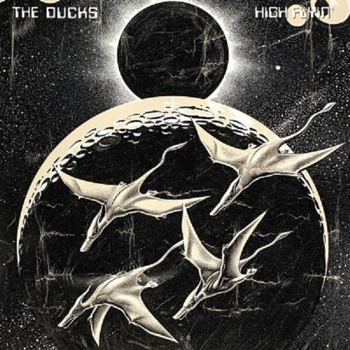 Neil young the ducks sealed - &,
